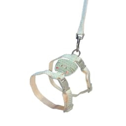 Arnes Transpirable Ajustable y Correa Verde Perros Gatos S