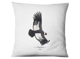 Funda Condor Blanco