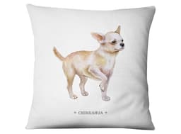 Funda Chihuahua Blanco