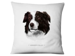 Funda Border Collie Blanco