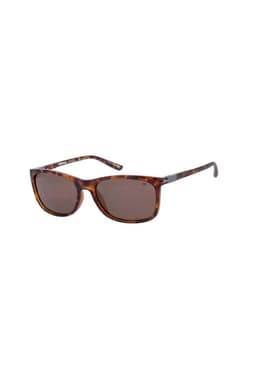 Lentes de Sol Polarizados CAT CPS-8510-102P Cafe
