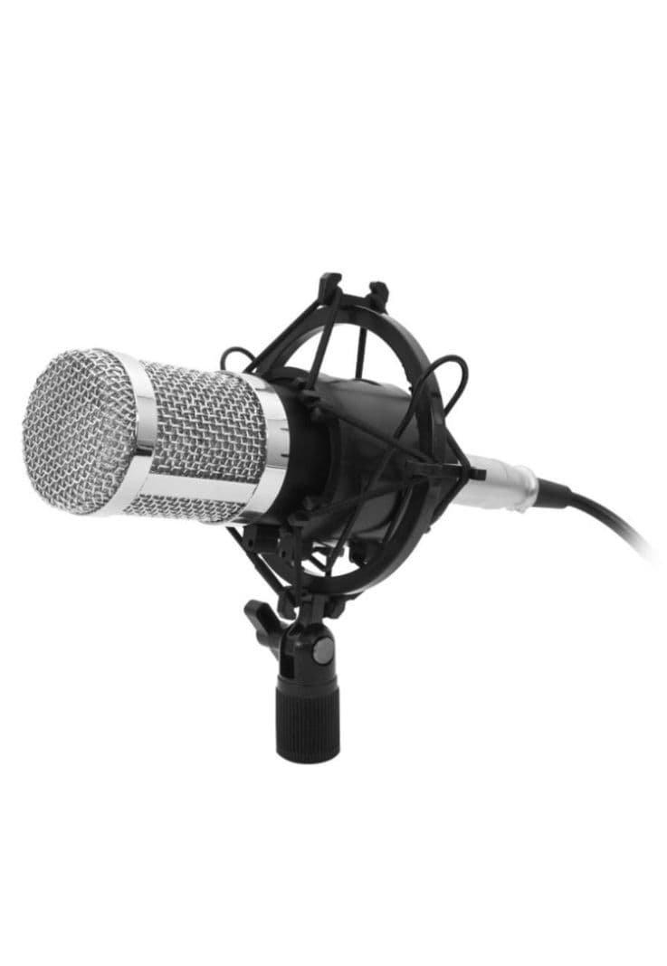 Microfono Condensador Profesional Philco Hifi 31451 C/Soporte Negro
