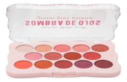 Paleta Sombras Ojos Pro 14 Tonos Alta Pigmentacion ALJ