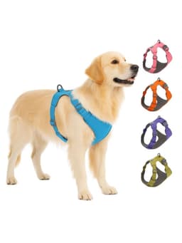 Arnes Antitirones Antiasfixia Para Perro Grande Talla XL Naranjo