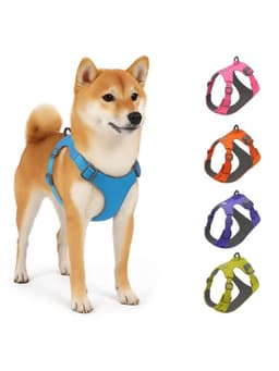 Arnes Antitirones Antiasfixia Para Perro Mediano Talla M Verde