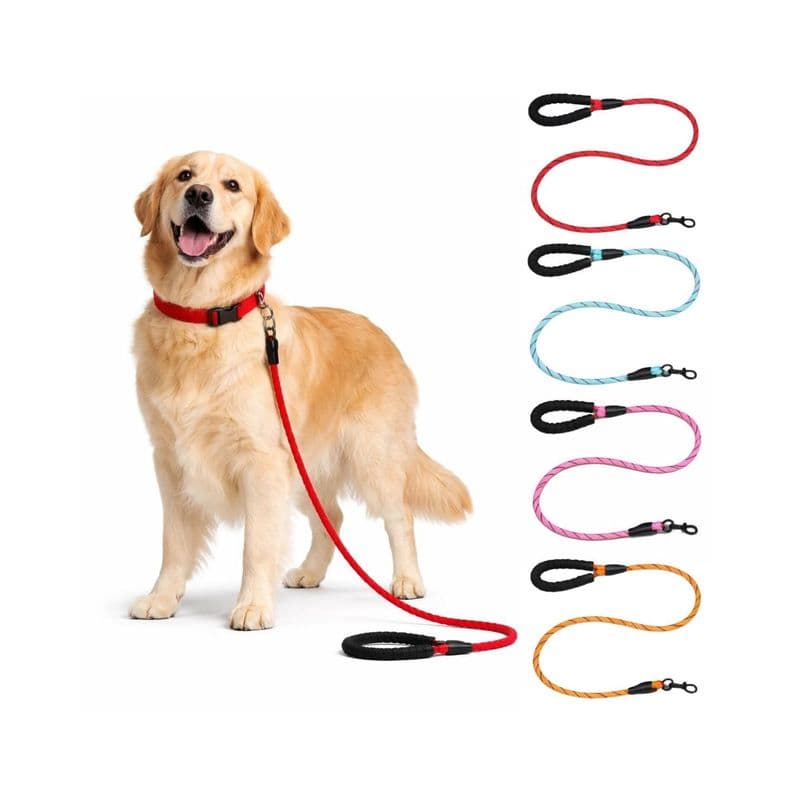 Correa Redonda Perro 1.2 m Resistente Antideslizante Naranjo 10
