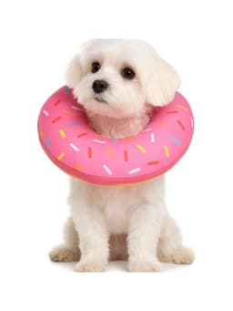 Collar Dona Para Mascotas Anti-lamido Talla L Rosado