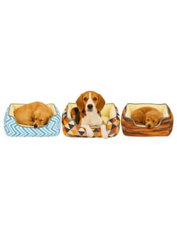 Cama para mascotas acolchada chiporro Talla S 55x45 CM Azul 20