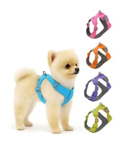 Arnes Antitirones Antiasfixia Para Perro Talla XS Verde