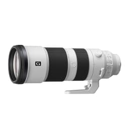 Lente montura E SEL200600G Blanco