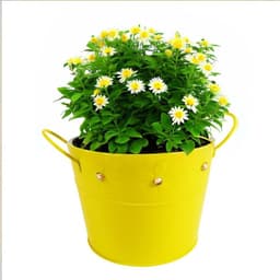Balde de laton amarillo con gemas
