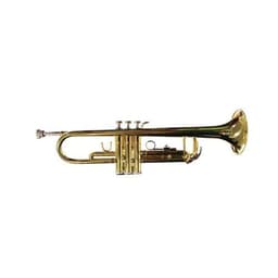 Trompeta Gold Allegro All6416L Dorado