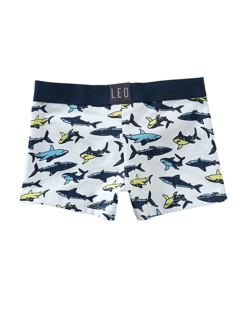 Boxer de Nino Packs X2 en Algodon 33155X2 4