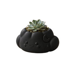 Macetero Decorativo Hogar- Forma Nube 10 cm Negra