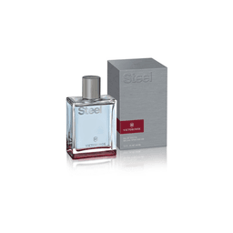 Perfume Victorinox Steel Edt 100Ml Hombre Transparente