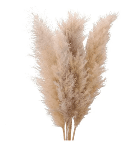 Ramas pampas grass 3 uds decoracion