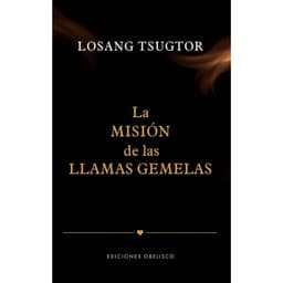 La mision de las llamas gemelas