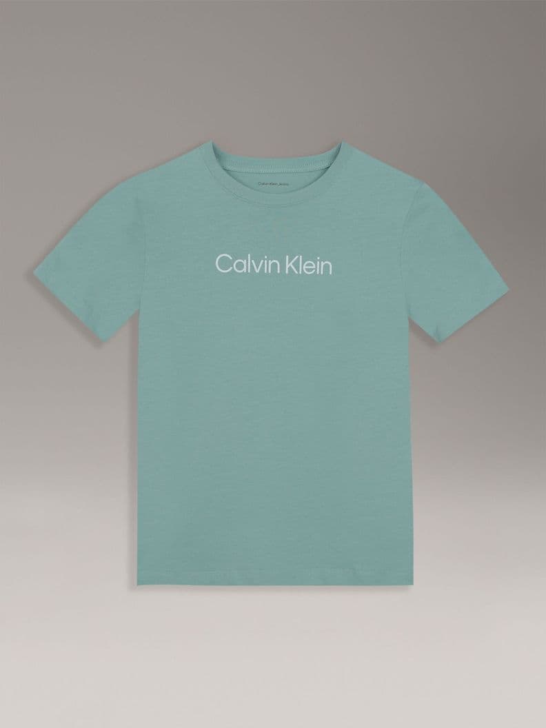 Polera Unisex Logo Verde Calvin Klein 6