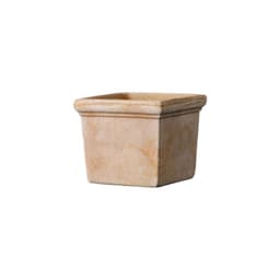 Mini Maceta 11cm Siena Cuadrada