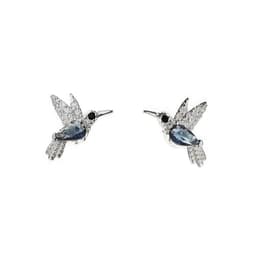 Aros Colibri Circon Azul Plata Fina 925