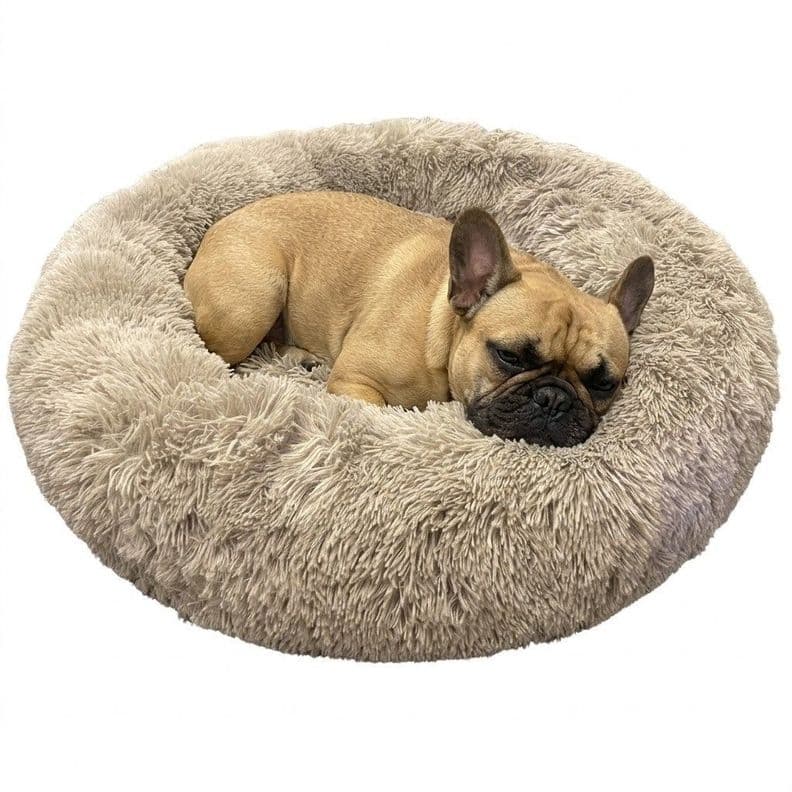 CAMA PARA MASCOTAS 60X60 CAFE CALIDAD SUPERIOR Cafe Claro