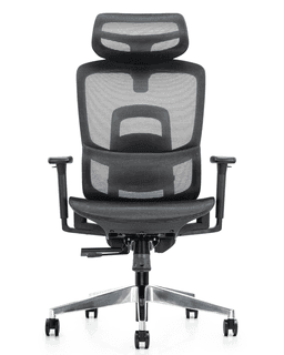 Silla Gerencial Premium de Oficina Delizia Negro