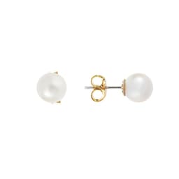 Aros Perlas Akoya Vastago Oro Blanco 18K - 5.5 A 6Mm