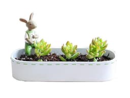 Macetero del conejo Green Blanco