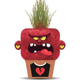 Plant Pals - Angry Annie Hape Rojo