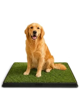 Bano Reutilizable ecologico para perros o gatos Talla XXL Medidas 75x50 cm Verde