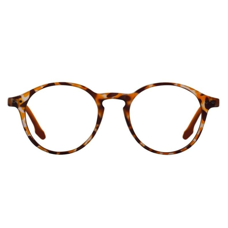 LENTES PARA PANTALLA W.A.R SEA A2 TORTOISE