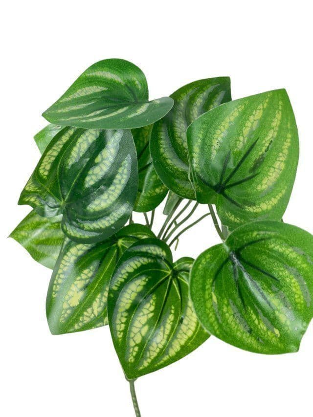Hoja de Sandia 30cm Artificial | Estilo Natural para Interiores y Vitrinas Verde