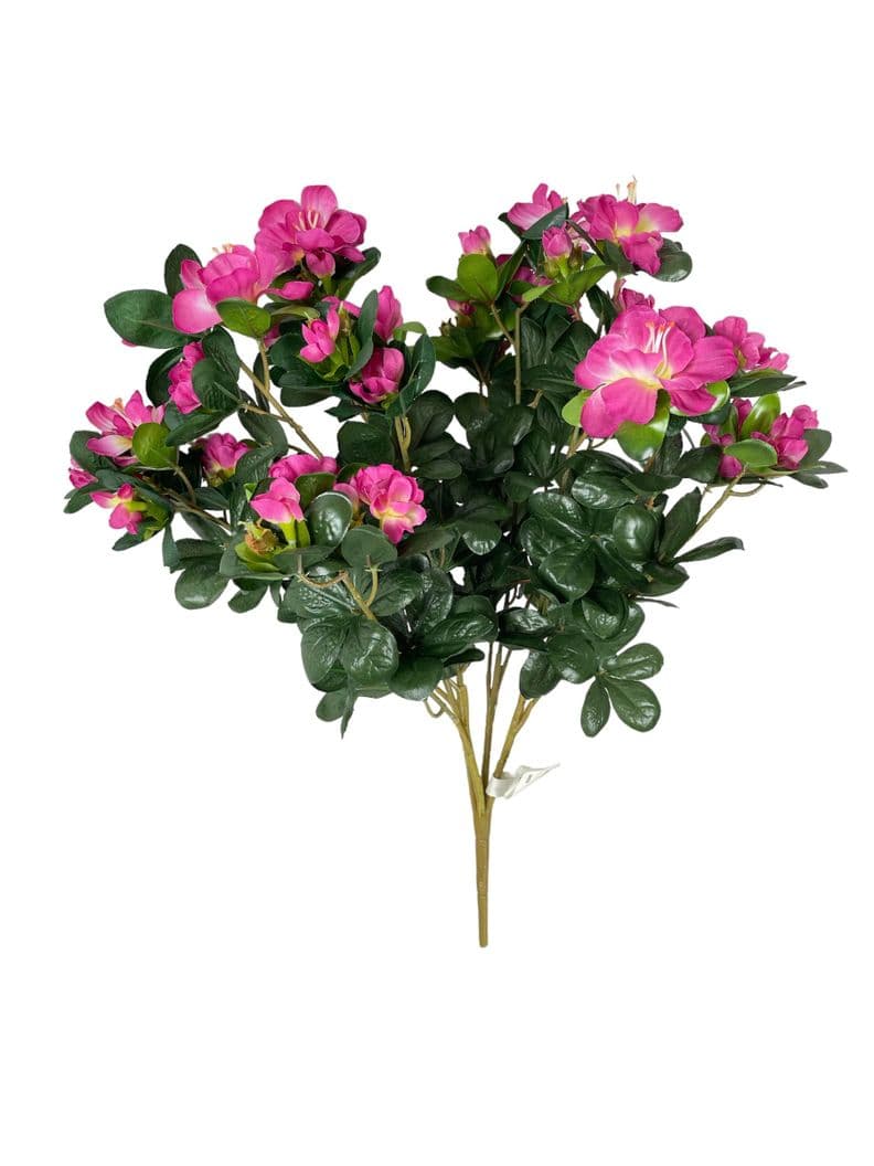 Planta Decorativa Arbusto Rhodendro 39Cm Verde