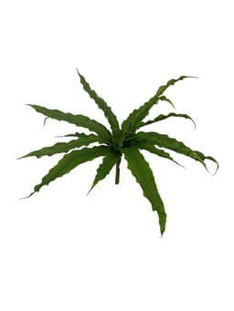 Helecho Nido de Pajaro 22cm Artificial | Estilo Natural para Interiores y Vitrinas Verde