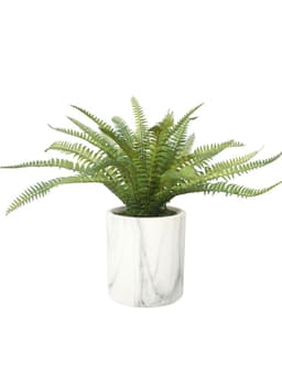 Helecho silvestre de 30 cm, con macetero Verde