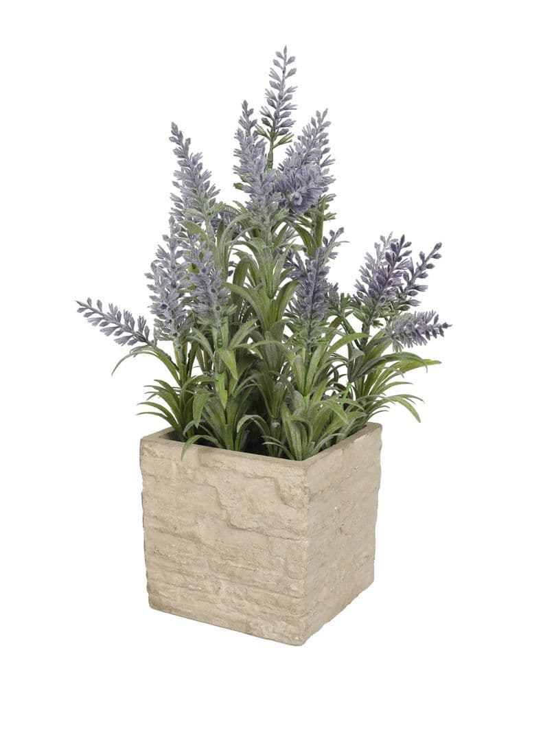 Mini Lavanda morada de 36 cm con macetero Verde