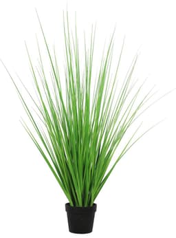 Grass Aloe Verde de 70 cm