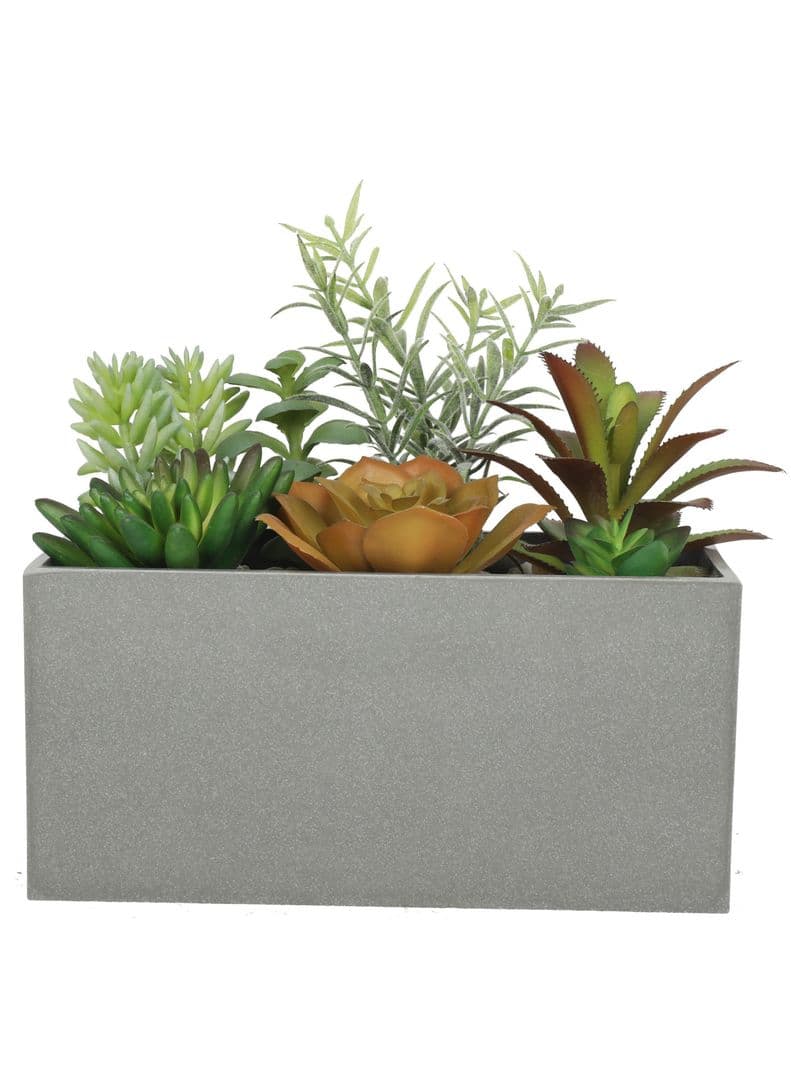 Suculentas 20 cm con macetero rectangular Verde