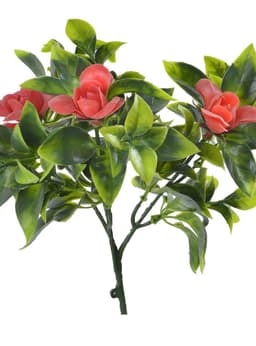 Gardenia roja, rama decorativa de 30 cm con proteccion UV Verde