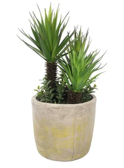 Suculentas 35 cm, con macetero Verde