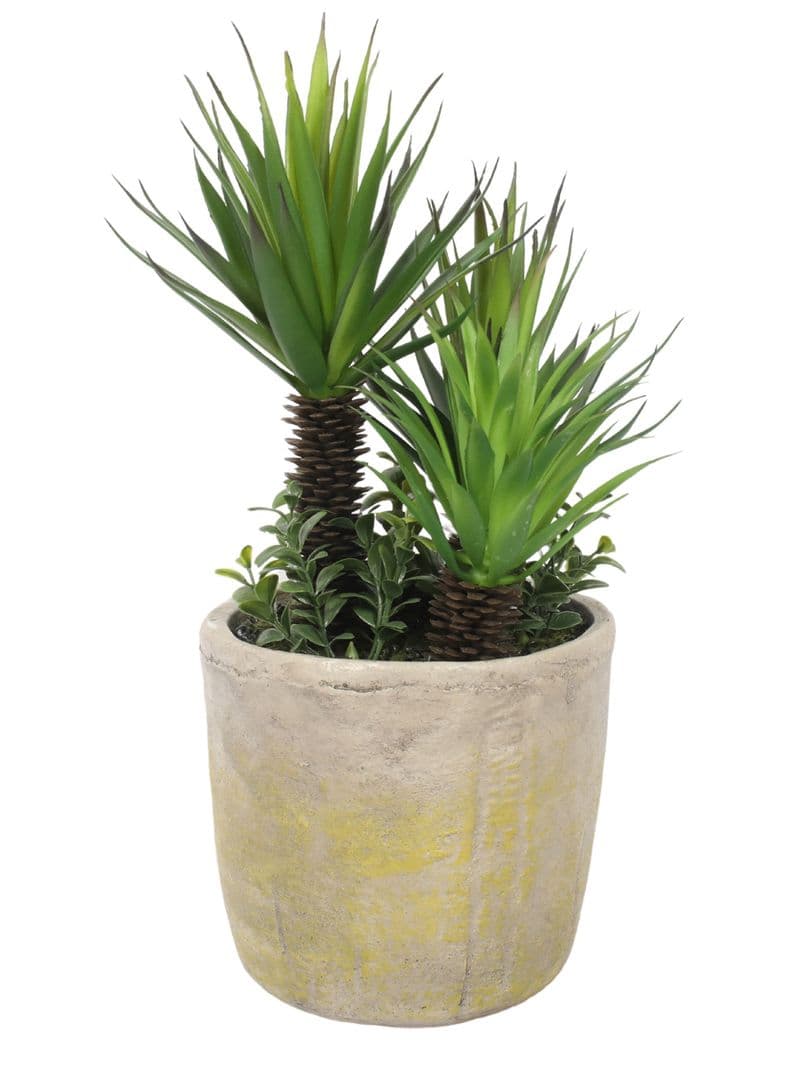 Suculentas 35 cm, con macetero Verde
