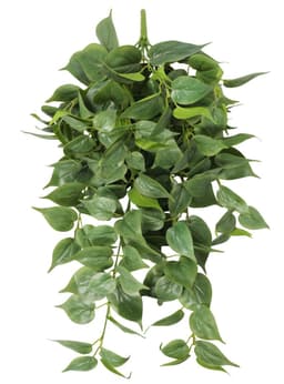 Enredadera colgante con 166 hojas verdes de 75 cm Verde