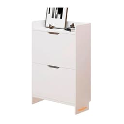 Zapatero Mueble Cajonera Organizador Para Zapatos 2 Niveles
