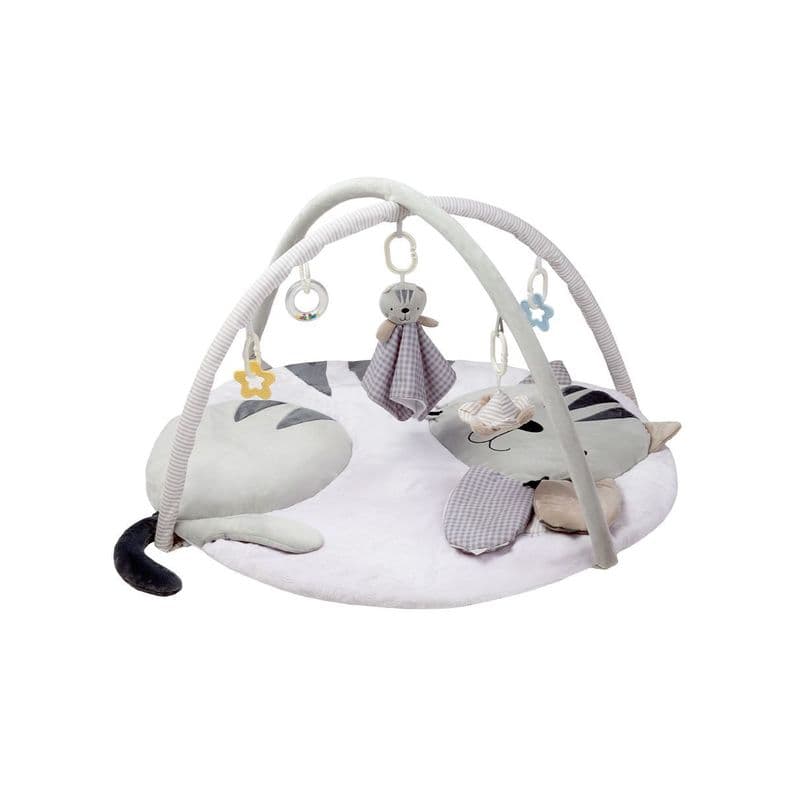 Gimnasio Didactico Carestino Gatito