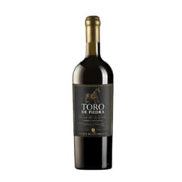 Vino Toro de Piedra Rincon De Los Vientos Cabernet 750cc