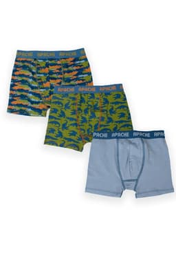 Calzoncillo Nino Multicolor Pillin (PRB216-25SUR) 8 anos
