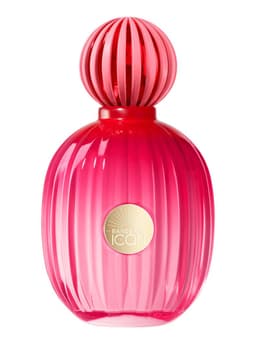 Perfume The Icon EDP Mujer 100 ml