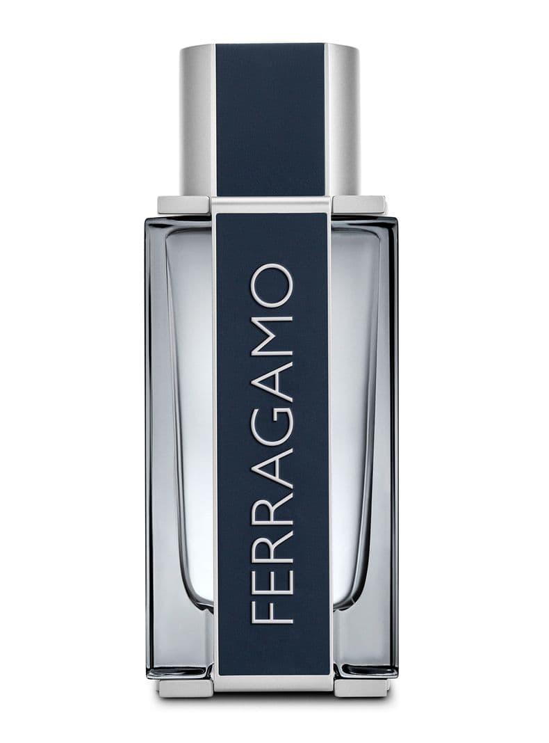 Perfume Ferragamo EDT Hombre 100 ml