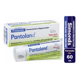 Simond's Pantoland Unguento Protector 60 Gr