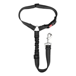Correa Leash Para Mascotas Pro Outdoor